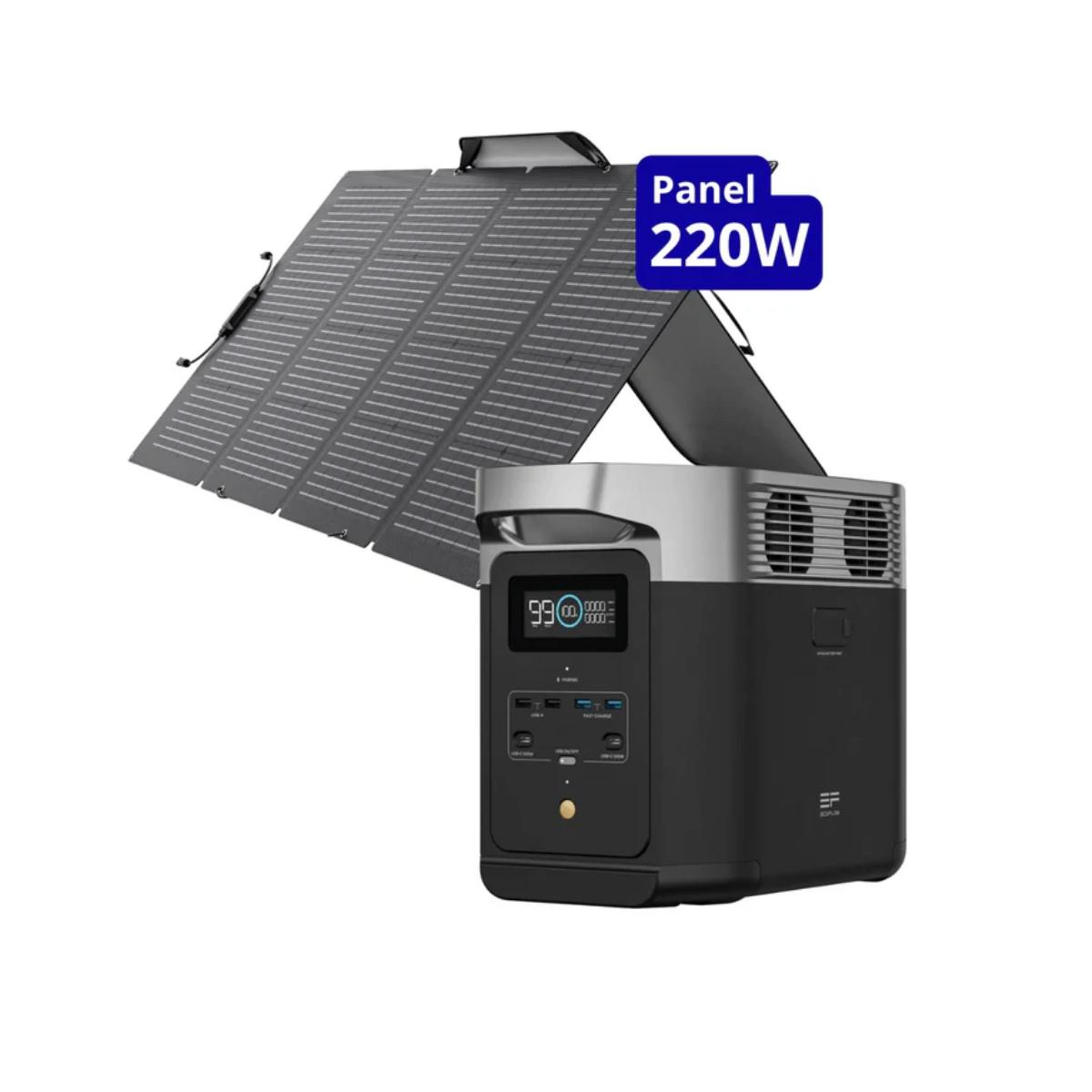 EcoFlow Delta 2 + Panel 220W