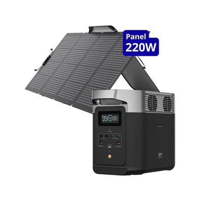 EcoFlow Delta 2 + Panel 220W
