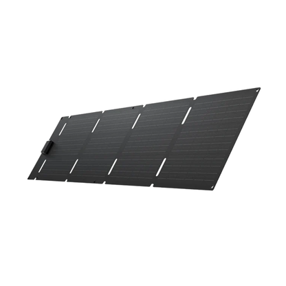 Panel Solar Portátil EcoFlow 60W Tipo C