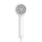 Secador de Pelo Xiaomi Mi Ionic Hairdryer