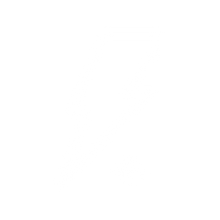 Velocidad de flash