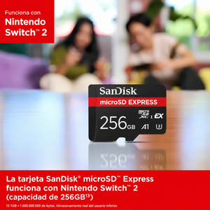 SanDisk microSD Express 256GB