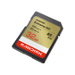 SanDisk Extreme GO SDHC UHS-I 32GB